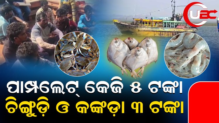 ପୁରୀରେ ମାତିଛନ୍ତି ମାଛ ମାଫିଆ ସିଣ୍ଡିକେଟ୍, ସାଙ୍ଗରେ ଅଛନ୍ତି ସରକାରୀ ବାବୁ