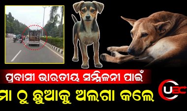 ପ୍ରବାସୀ ଭାରତୀୟ ସମ୍ମିଳନୀ ପାଇଁ, ମା ଠୁ  ଛୁଆକୁ  ଅଲଗା କଲେ