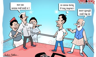 ଦିଲ୍ଲୀ ଡଙ୍ଗଲ