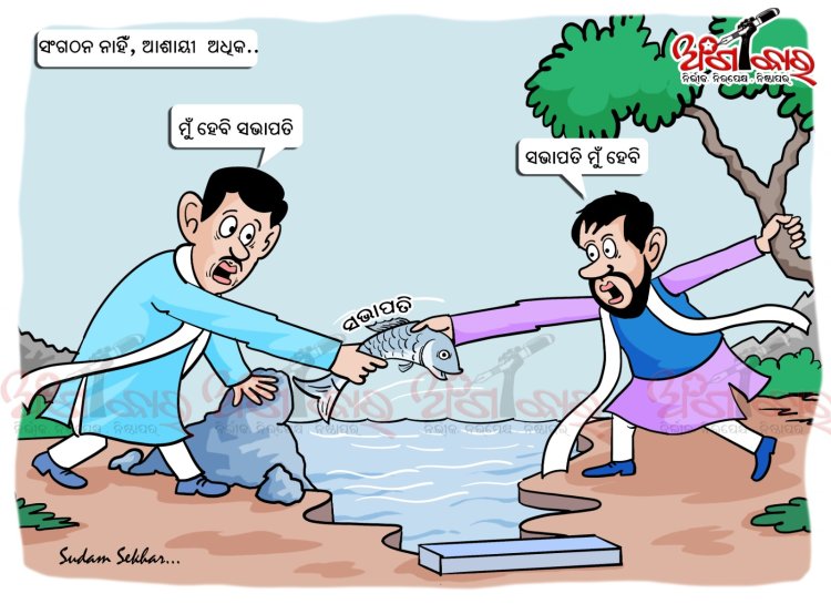 ସଂଗଠନ ନାହିଁ, ଆଶାୟୀ ଅଧୂକ