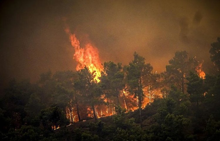 A total of 15,700 kilometers of new fire lines have been created to help control forest fires.